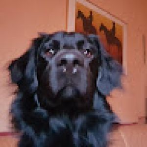 Profilbild
