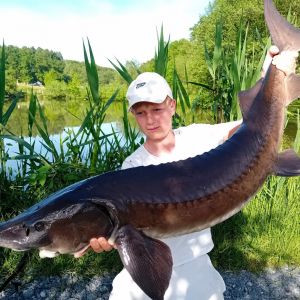 Profilbild