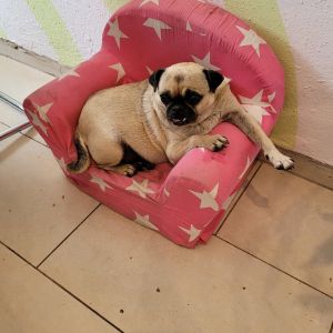 Profilbild