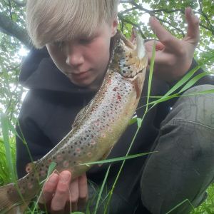 Profilbild