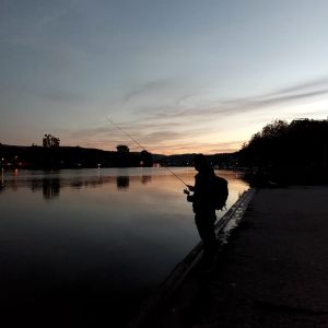 Profilbild