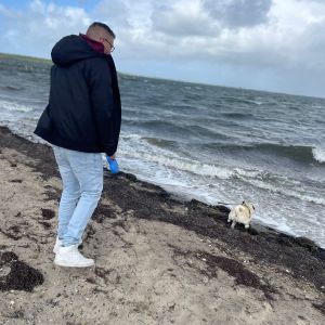 Profilbild