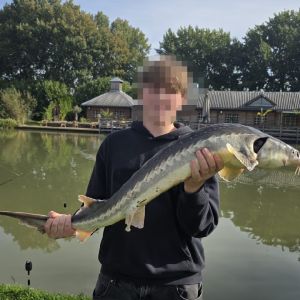 Profilbild