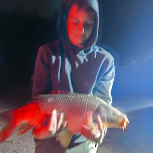 Profilbild