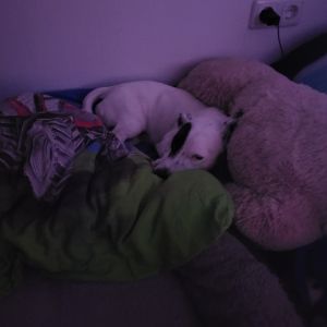 Profilbild