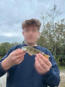 Profilbild