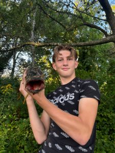 Profilbild