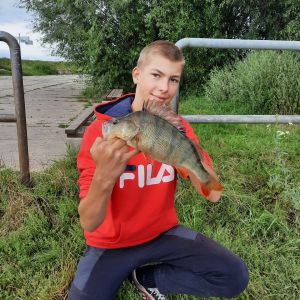 Profilbild