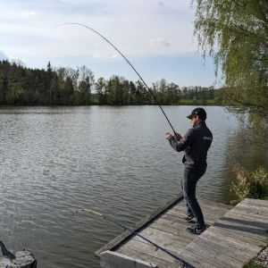 Profilbild
