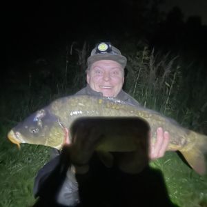 Profilbild