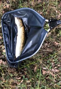 Forellen und Barsch Angler