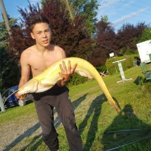 Fisch Hunter