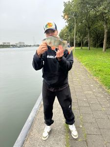 Profilbild