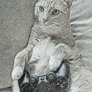 Profilbild