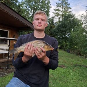 Profilbild