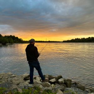 Profilbild