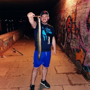 Profilbild
