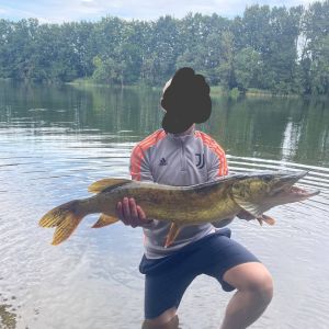 Profilbild