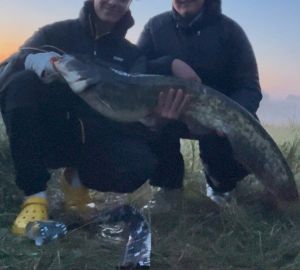 catfishhunter_elbe