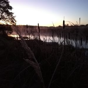 Grabenangler