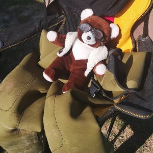 Profilbild