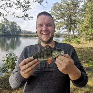 Profilbild