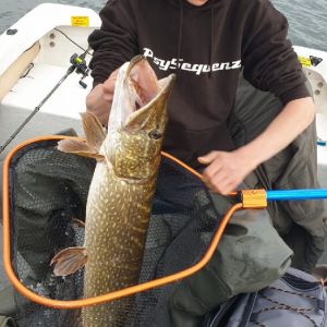 Bass_Hunter