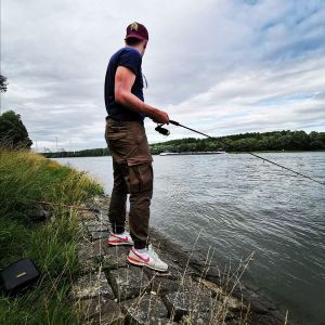 Niksen