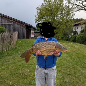 Profilbild