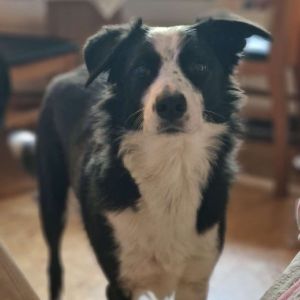 Profilbild