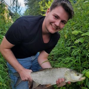 Profilbild