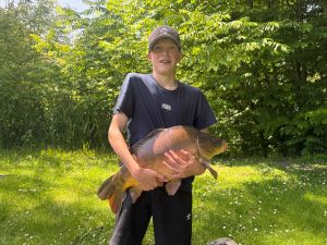 Profilbild