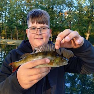 Profilbild