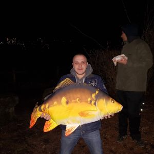 Profilbild