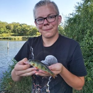 Profilbild