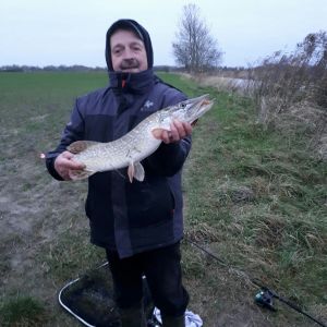Profilbild