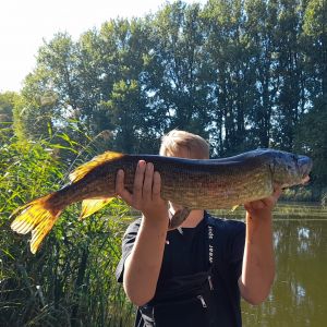 Profilbild