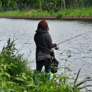 Profilbild