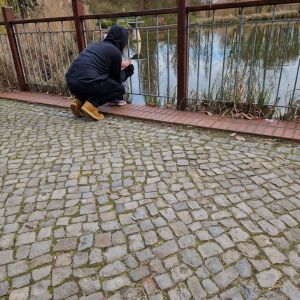 Profilbild