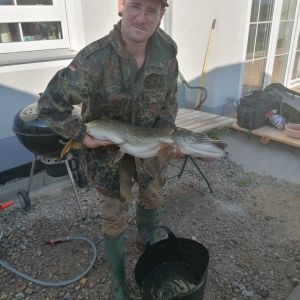 Profilbild