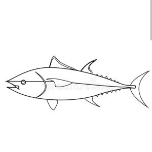 Thunfisch123