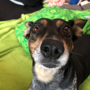 Profilbild