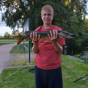 Profilbild