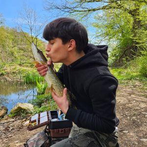Profilbild