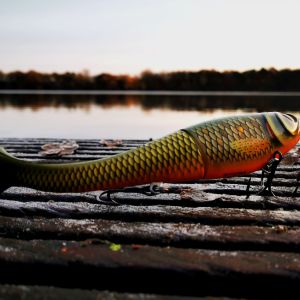 Fisherman13