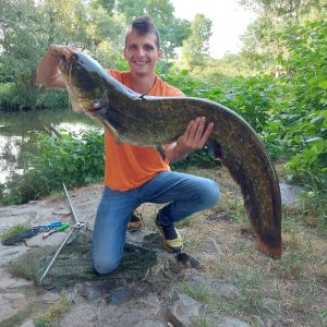 Profilbild