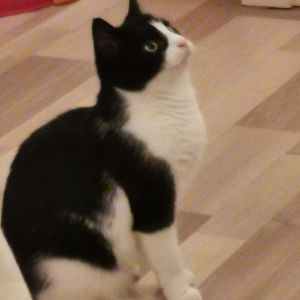 Profilbild