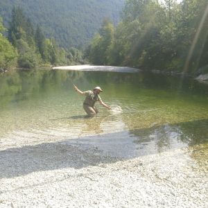 Wollewollo