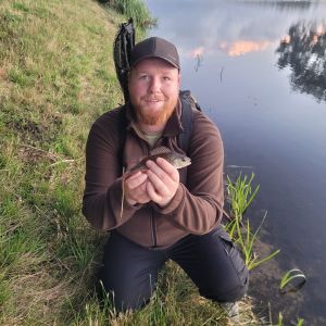 Profilbild