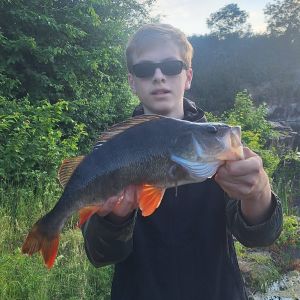 Profilbild